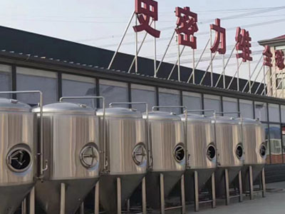 遂溪精酿啤酒设备厂—如何判断精酿啤酒设备的密封件需要更换？